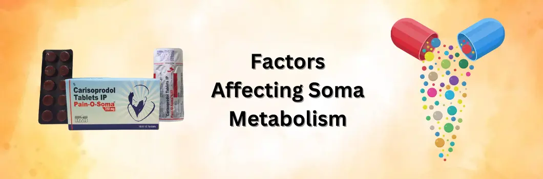 factors-affecting-soma-metabolism